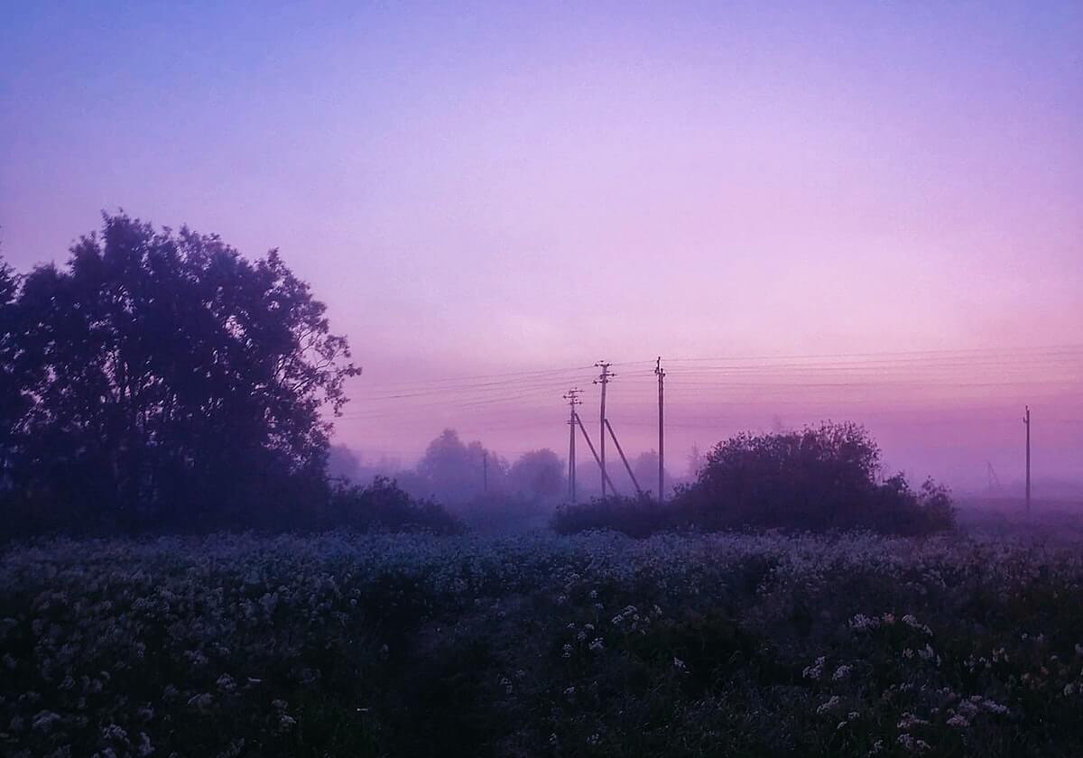 探花——荒谬解读合集