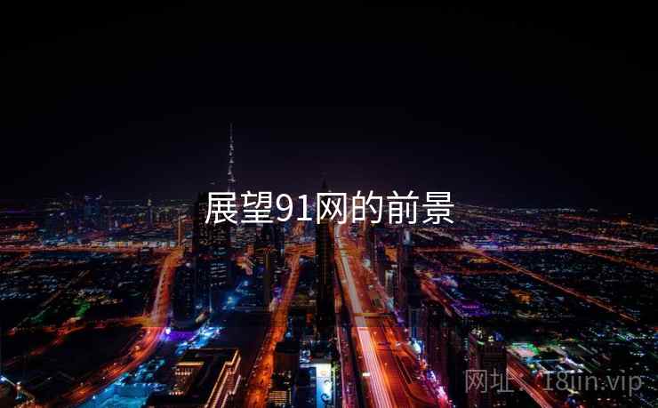 展望91网的前景