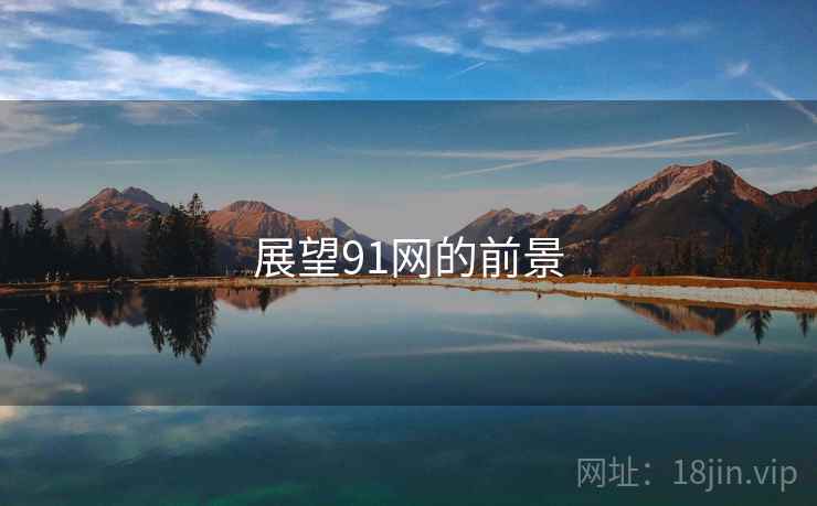 展望91网的前景