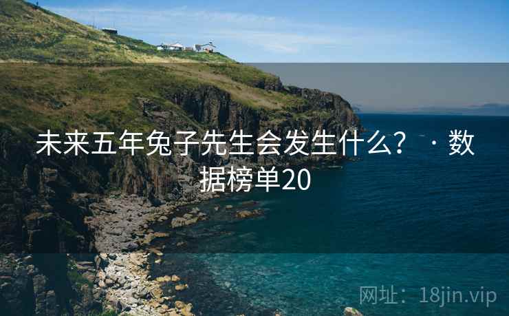 未来五年兔子先生会发生什么？ · 数据榜单20