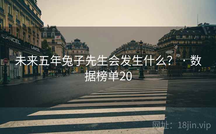 未来五年兔子先生会发生什么？ · 数据榜单20