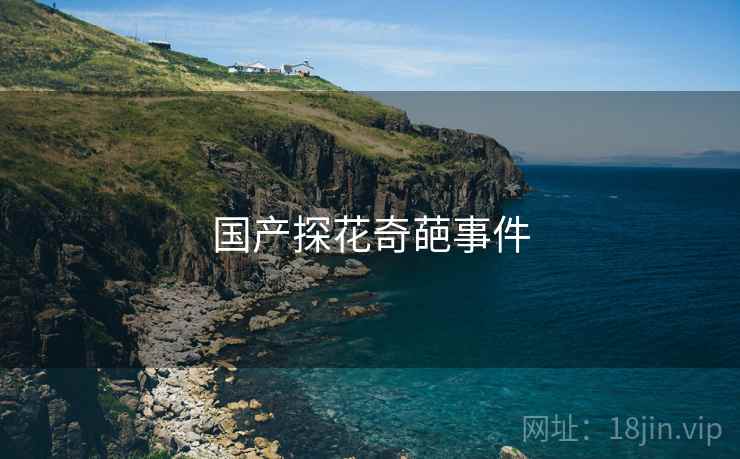国产探花奇葩事件