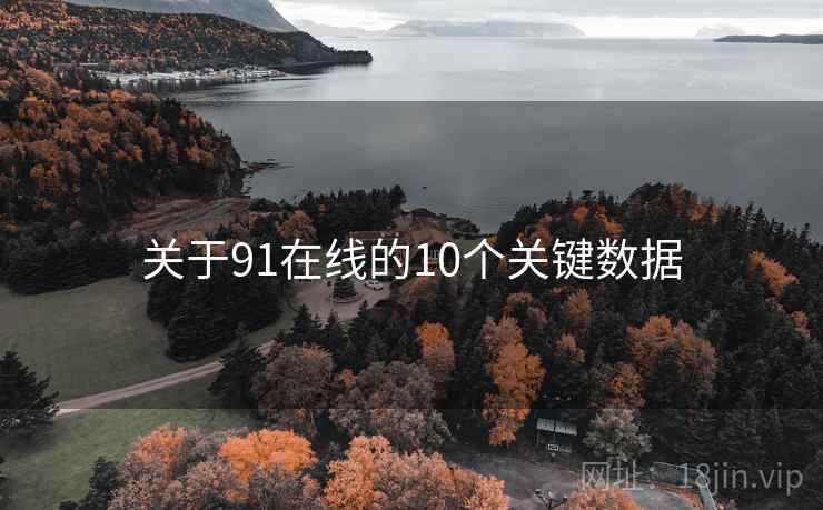 关于91在线的10个关键数据