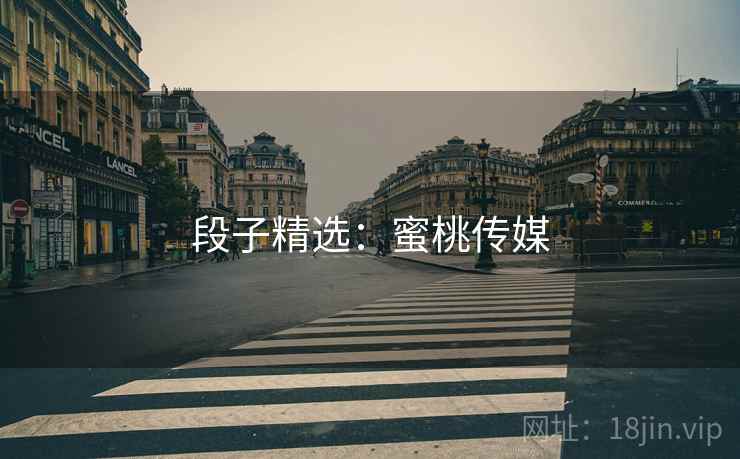 段子精选：蜜桃传媒